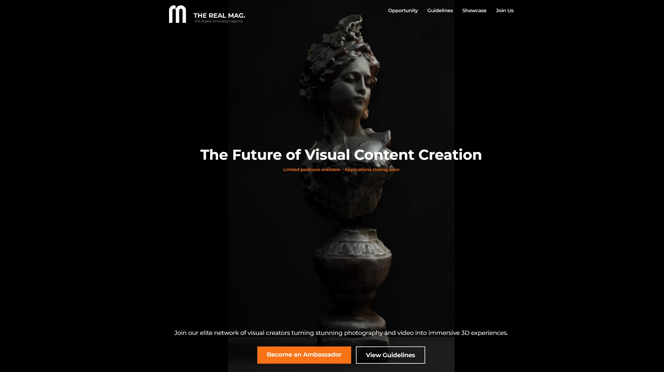 THE REAL MAG 3D Scanning AI website voorbeeld